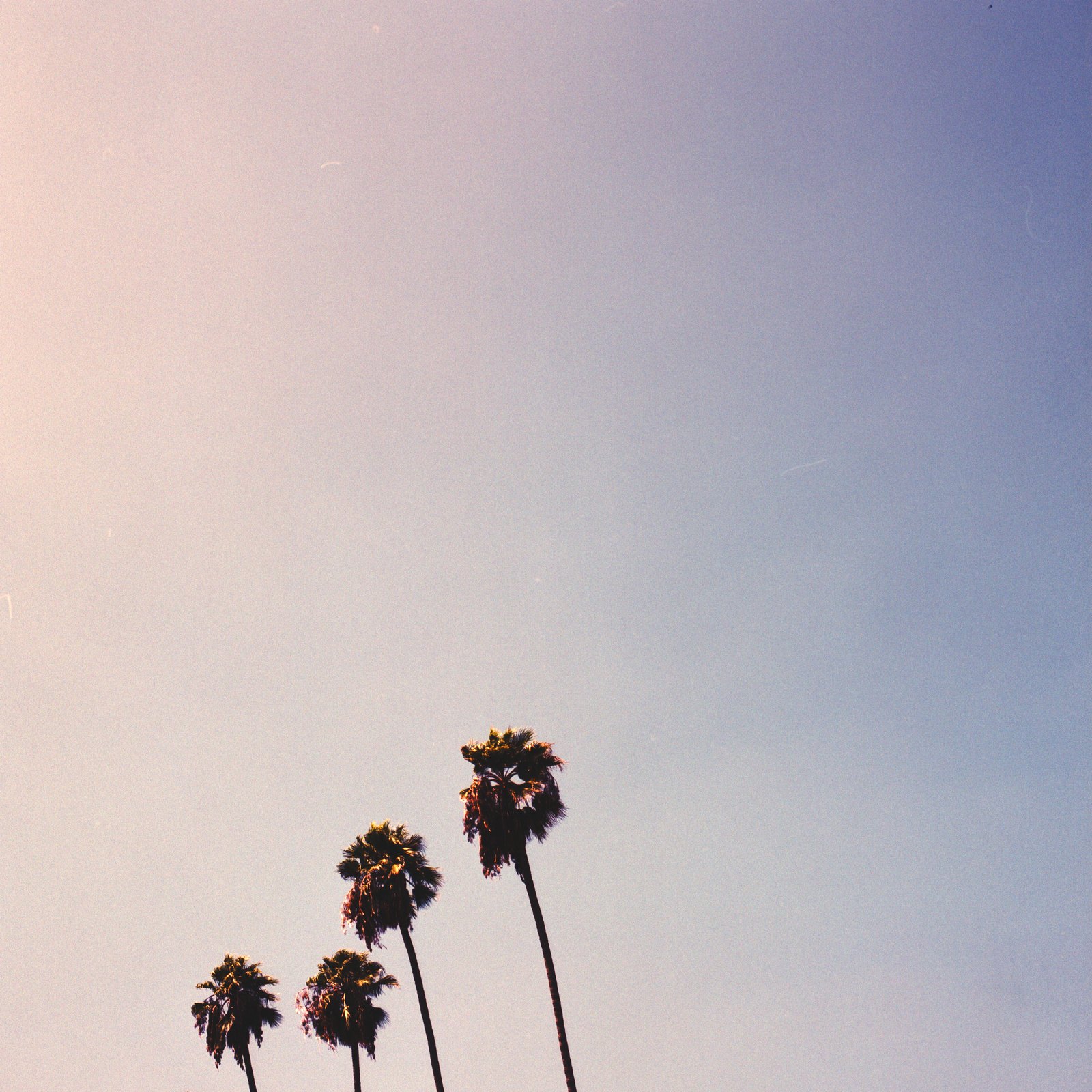 264689-19220212-LosAngeles0052_jpg1.jpg
