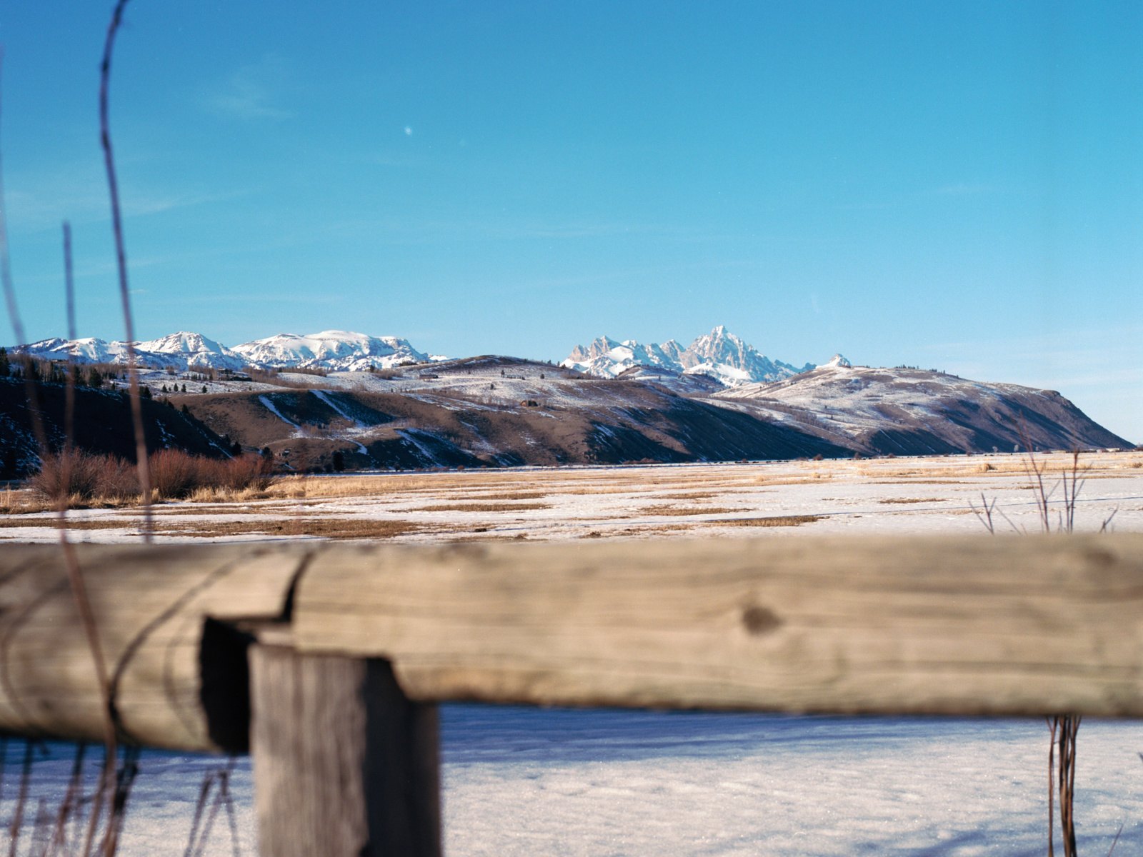 264689-19220176-JacksonHoleFeb2016112_jpg1.jpg